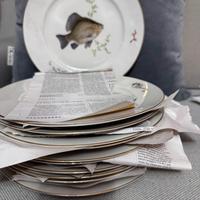 Piatti  d’epoca in porcellana johann seltmann voh