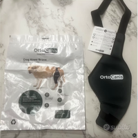 Ortocanis Ginocchiera Cane Zampa Destra Large