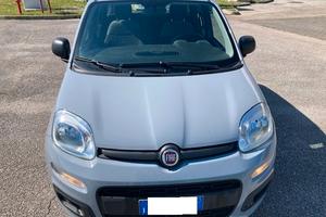 fiat panda Hybrid neopatentati
