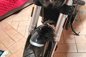 Benelli leoncino 500