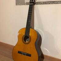 Chitarra Acustica Sakura