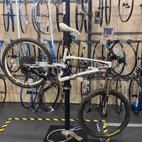 Bici lappiere spicy 516