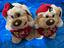 Immagine 6