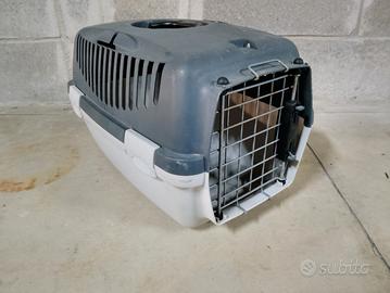 Portantino per animali 