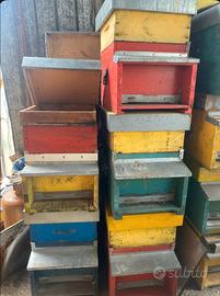 20 ARNIE COMPLETE comprese di escludi regina