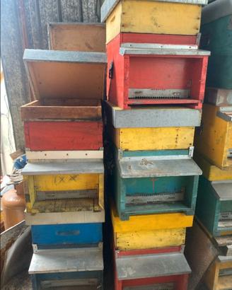 20 ARNIE COMPLETE comprese di escludi regina