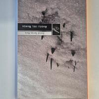 UP Climbing (2 numeri) e libro arrampicata