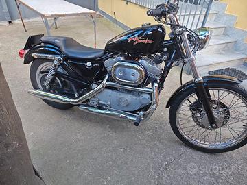 Harley Davidson 883 XL 53 c