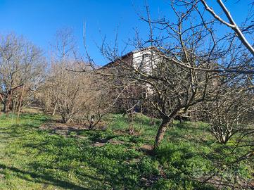 Casa di 350 mq con giardino vicino Alfiano Natta