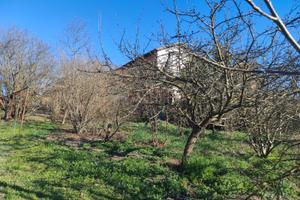 Casa di 350 mq con giardino vicino Alfiano Natta
