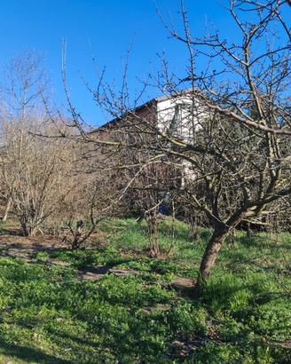 Casa di 350 mq con giardino vicino Alfiano Natta