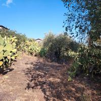 Terreno agricolo di 2204 mq Ragalna