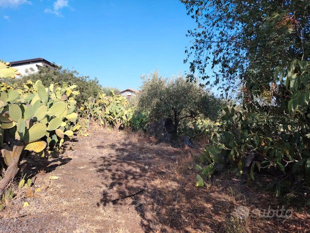 Terreno agricolo di 2204 mq Santa Maria di Licodia