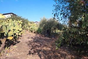 Terreno agricolo di 2204 mq Ragalna