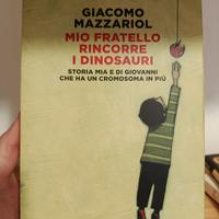 Mio fratello rincorre i dinosauri - libro da legge