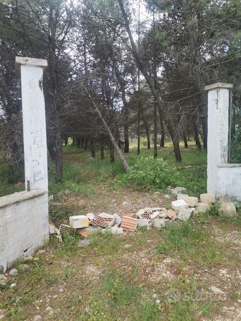 Terreno con trullo - Vista 3