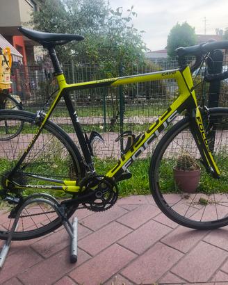 bici da corsa  Focus  in carbonio