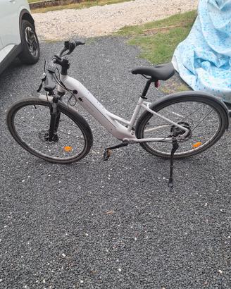 Bici elettrica trekking a pedalata assistita E-ACT