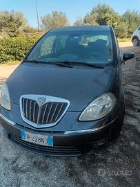 Lancia musa