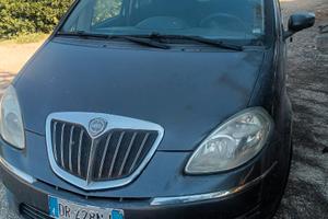 Lancia musa