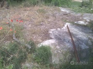 Immobile in asta di 27670 m² a Massignano