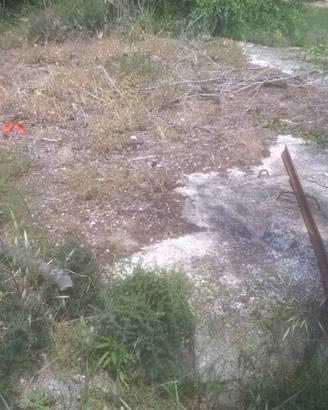 Immobile in asta di 27670 m² a Massignano