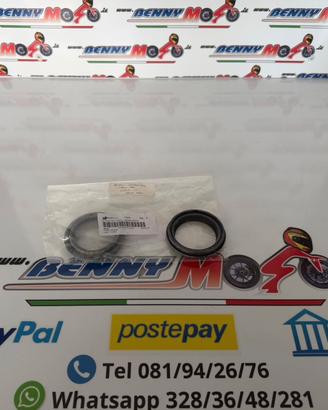 PARAPOLVERE BENELLI 752S- LEONCINO 500