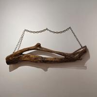 quadro scultura naturale decorativa