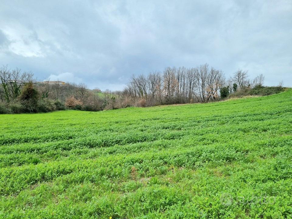 Terreni agricoli di 9000 mq - Vista 2