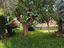 Immagine 24