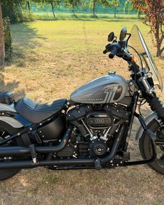Harley davidson street bob 114 2024