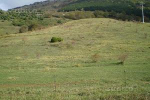 6 ettari di Terreno Agricolo