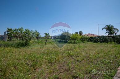 Terreno - Grammichele