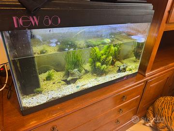 Acquario 200l con filtri e accessori