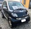 smart-700-benzina-passion-adatta-neopatentati