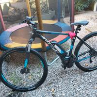 bicicletta elettrica 