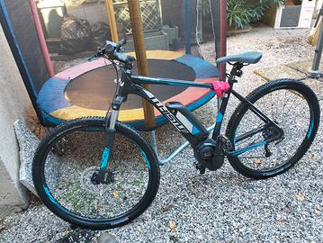 bicicletta elettrica 