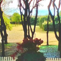 Jesolo vista mare piscina nobarriere spiaggia cani