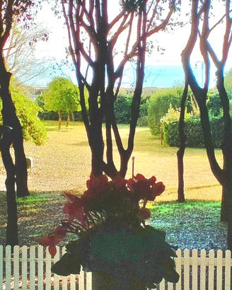 Jesolo vista mare piscina nobarriere spiaggia cani