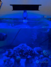 Lampada per acquario