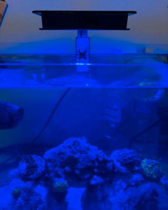 Lampada per acquario
