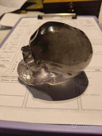 teschio di resina 8cm