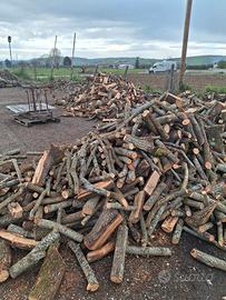 LEGNA DA ARDERE CAMINO E PIZZERIE 