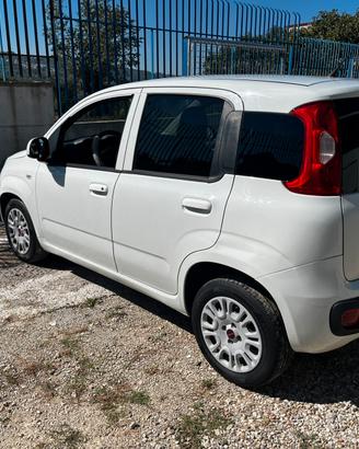 Panda 1.3 multijet 75 cv