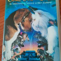 video cassette 