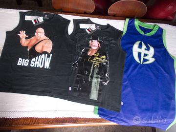 WRESTLING CANOTTIERE