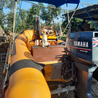 Gommone completo di carrello stradale basculante