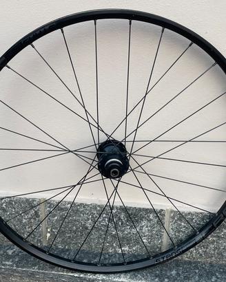 Ruota posteriore Mtb