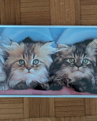 Quadro gatti vetro rotto 91x31 cm