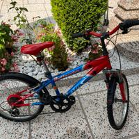 Bici ragazzo 5-10 anni Bottecchia